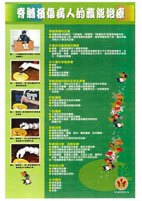 脊髓損傷病人的職能治療