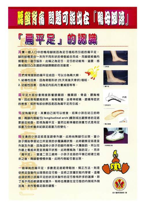 腰酸背痛問題可能出在腳-鴨母腳蹄